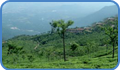 ooty munnar tours
